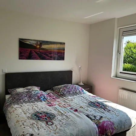 Noordzee E Tatil Evi *